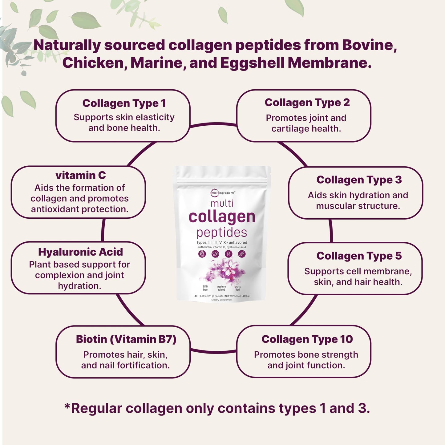 Micro Ingredients Multi Collagen Peptides Powder - 40 Stick Packs | Unflavored | Type I–X + Biotin, Vitamin C & Hyaluronic Acid | Keto & Non-GMO