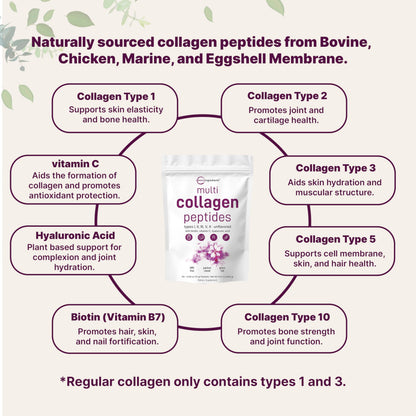 Micro Ingredients Multi Collagen Peptides Powder - 40 Stick Packs | Unflavored | Type I–X + Biotin, Vitamin C & Hyaluronic Acid | Keto & Non-GMO