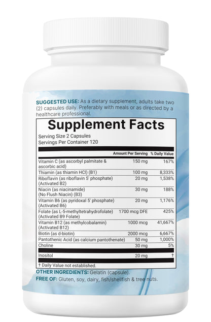 Micro Ingredients 2 Pack Pure Methylated B Complex, 480 Capsules | 11-in-1 Vitamin B Formula + Vitamin C | Non-GMO