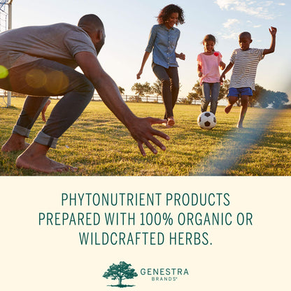 Genestra Brands Phyto Greens Capsules | Organic Greens, Vitamins & Enzymes - 180 Capsules
