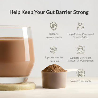 Microbiome Breakthrough Gut Support Powder – Chocolate Flavor | Probiotics, Bone Broth & Collagen (30 Servings)