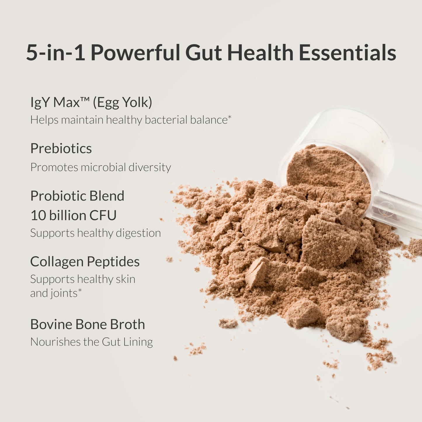 Microbiome Breakthrough Gut Support Powder – Chocolate Flavor | Probiotics, Bone Broth & Collagen (30 Servings)