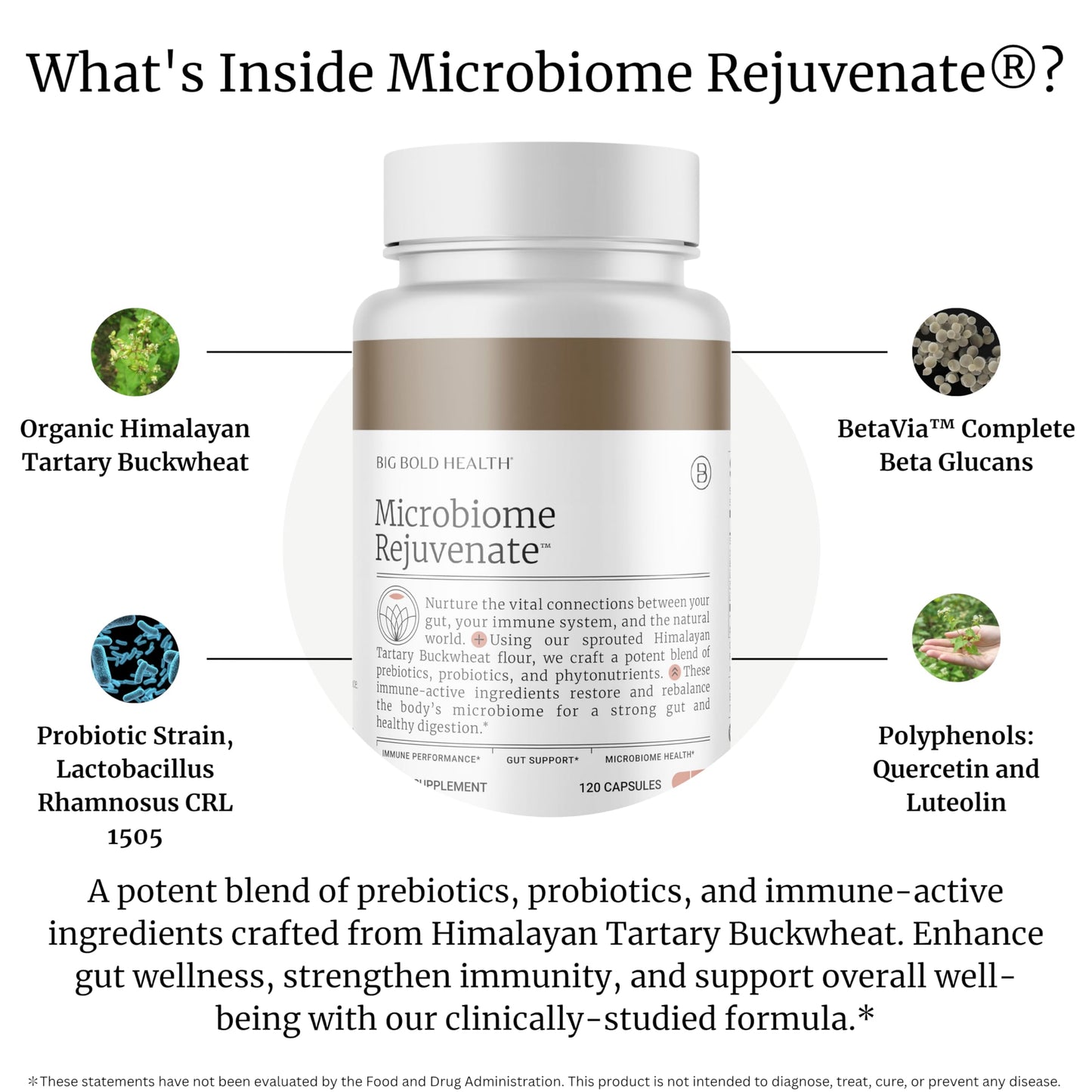Microbiome Rejuvenate: Prebiotic + Probiotic for Gut Health & Immune Support with Immune-Active Himalayan Tartary Buckwheat