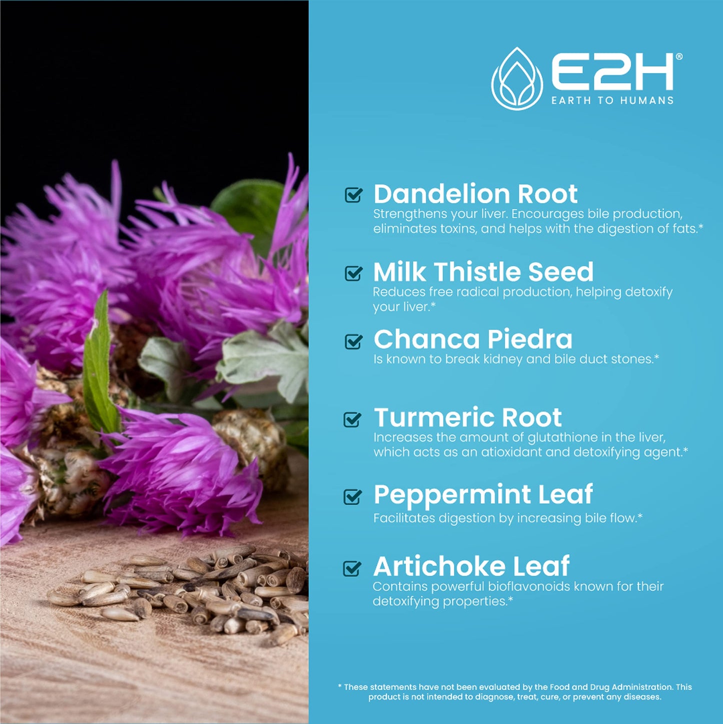 E2H Liver Support Liquid Drops – Milk Thistle Detox with Artichoke & Dandelion | 3 Bottles