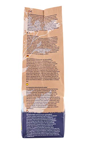 Milk Thistle Plus: Supports Liver Health & Function