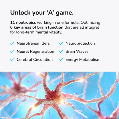Mind Lab Pro MLP v4 Universal Nootropic – Focus, Memory, Clarity, Energy – 60 Count, Plant-Based, Made in USA