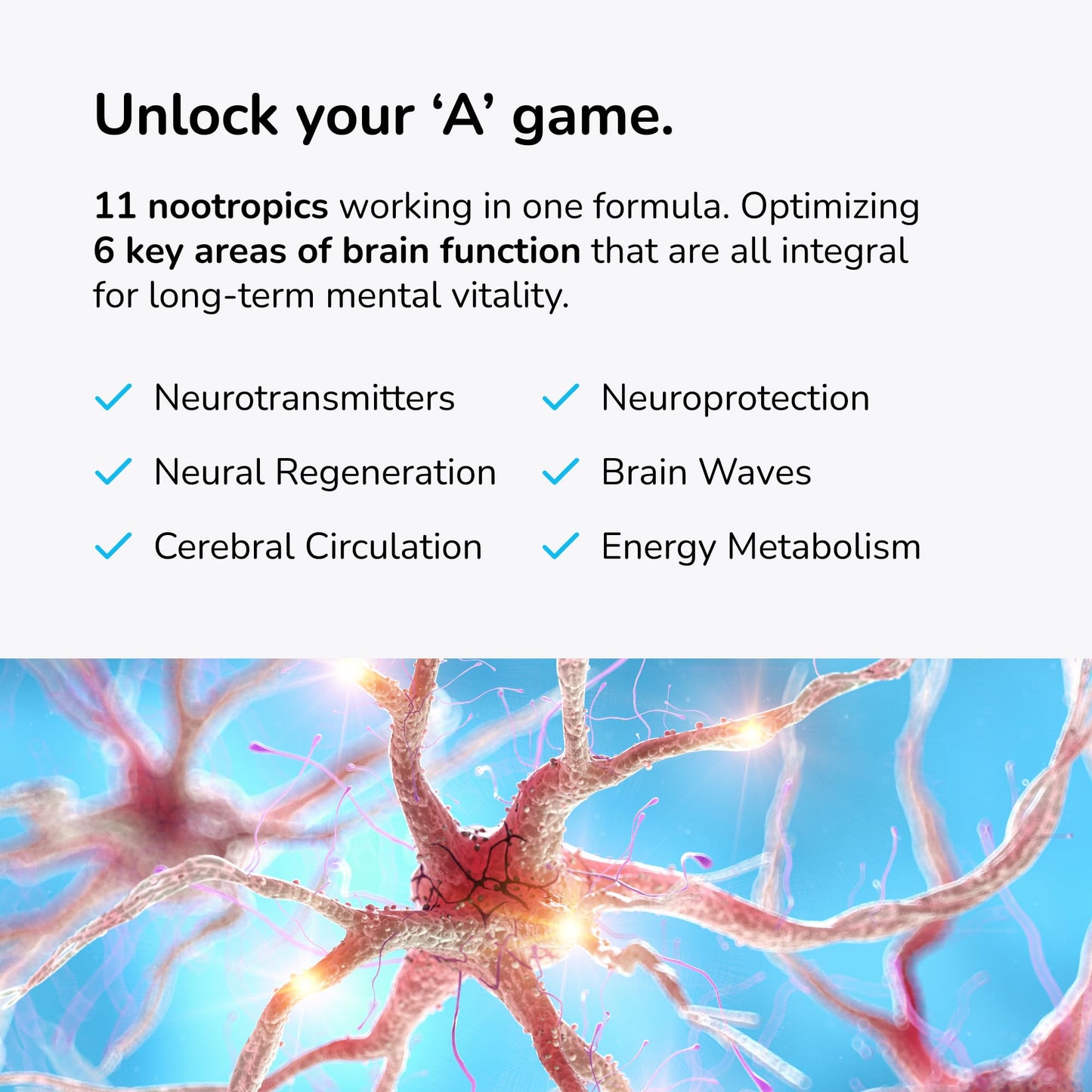 Mind Lab Pro MLP v4 Universal Nootropic – Focus, Memory, Clarity, Energy – 60 Count, Plant-Based, Made in USA