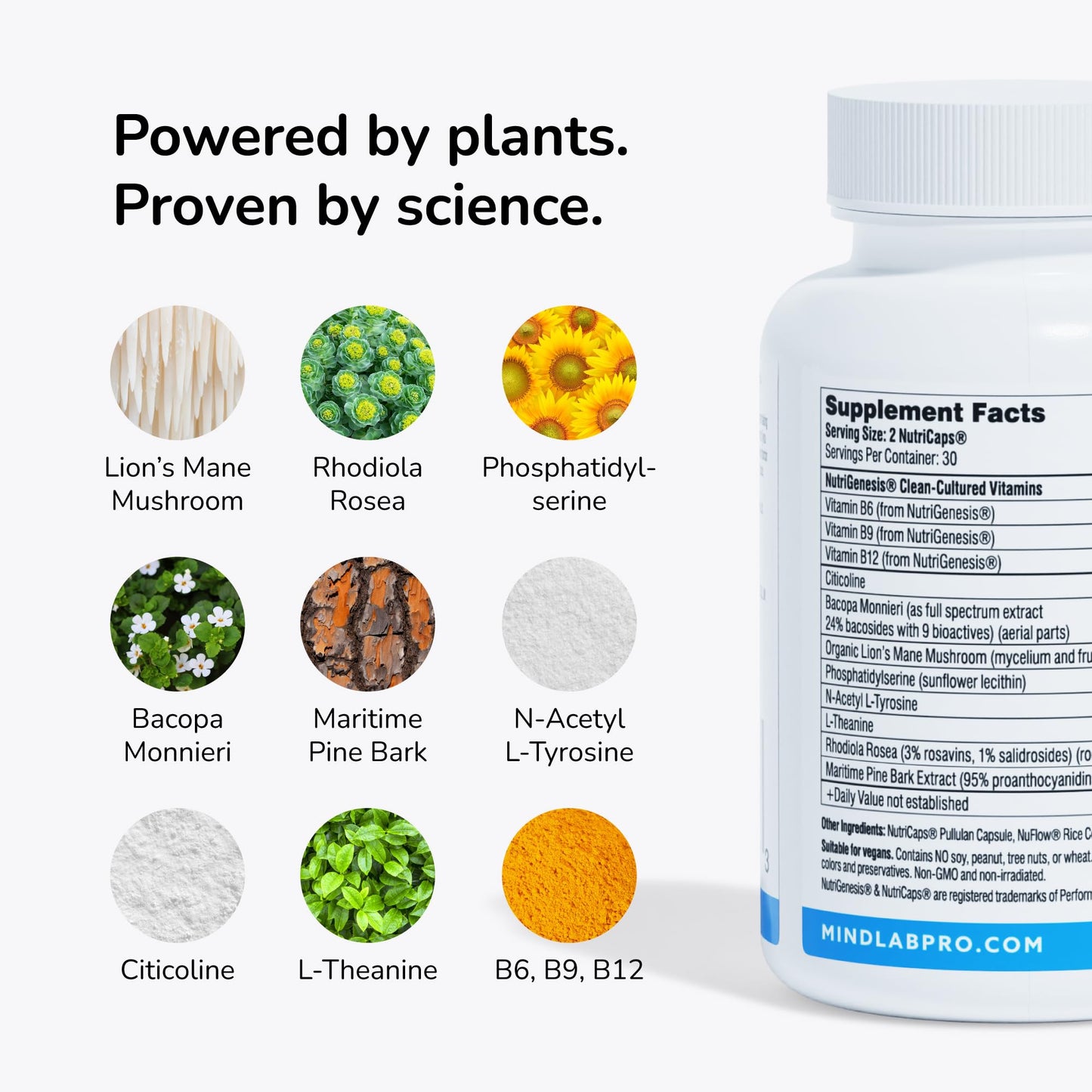 Mind Lab Pro MLP v4 Universal Nootropic – Focus, Memory, Clarity, Energy – 60 Count, Plant-Based, Made in USA