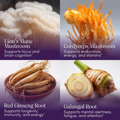 Apothékary Mindcraft: Focus, Cognition & Longevity Drops with Lion’s Mane & Cordyceps