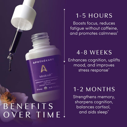 Apothékary Mindcraft: Focus, Cognition & Longevity Drops with Lion’s Mane & Cordyceps