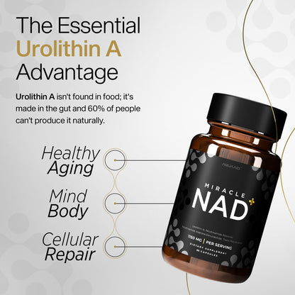 Miracle NAD+ Supplement – Urolithin A, NR & Trans‑Resveratrol (60 capsules)