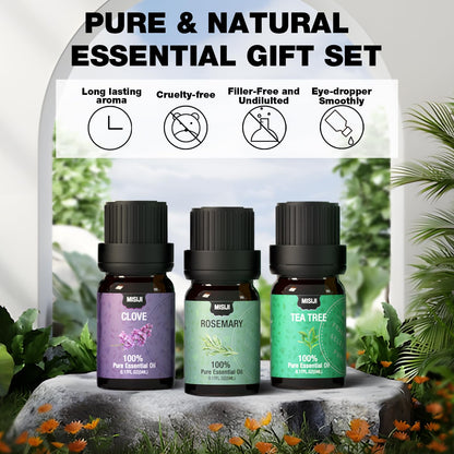 MISIJI 12 Top Essential Oils Set - 12 x 5ml for Diffuser, Aromatherapy & DIY