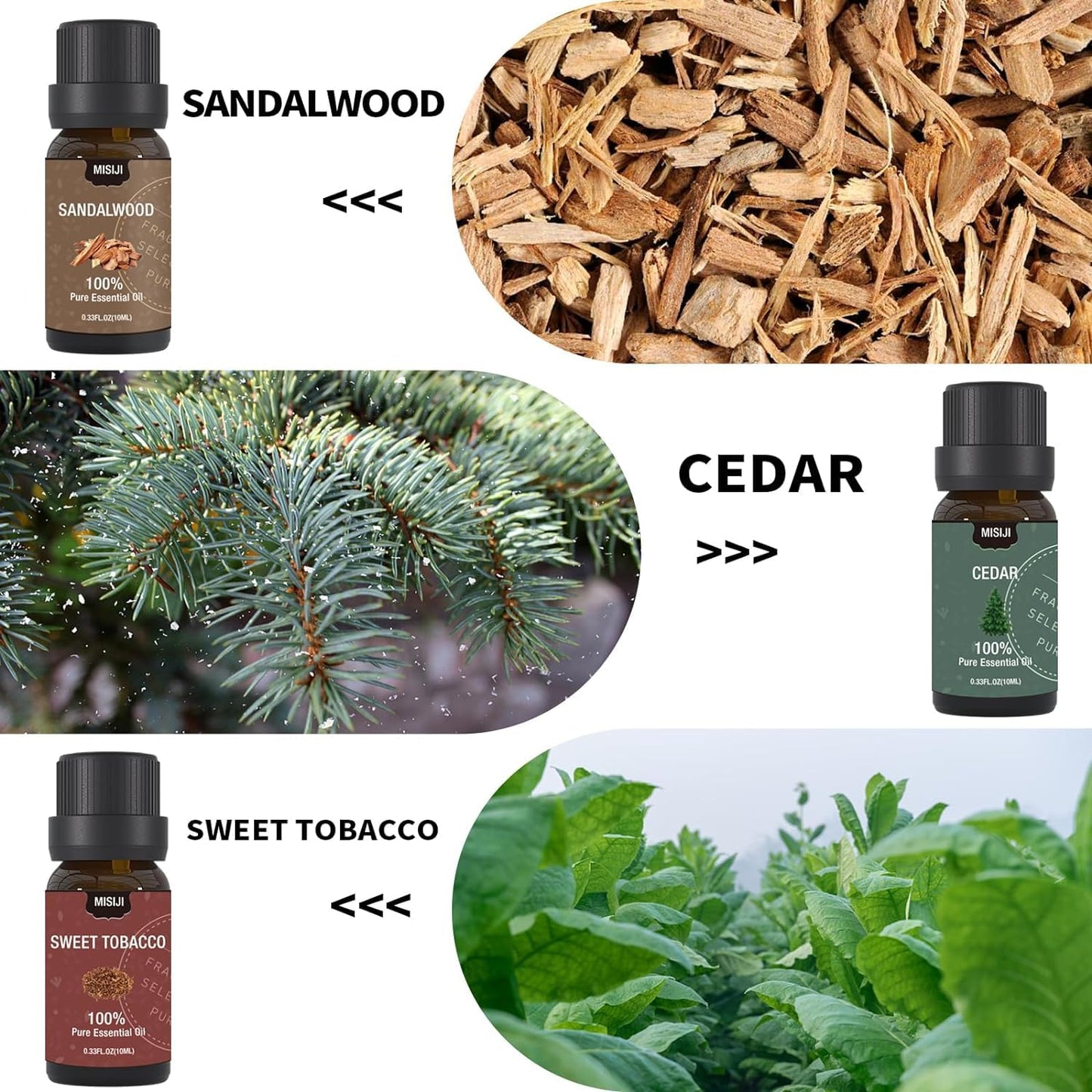 MISIJI Essential Oils Set - 6x10ml for Diffusers, Aromatherapy & DIY