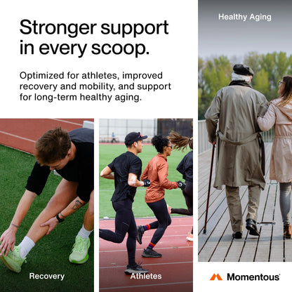 Momentous Grass-Fed Collagen Peptides Powder with Fortigel & Vitamin C – NSF Certified for Sport