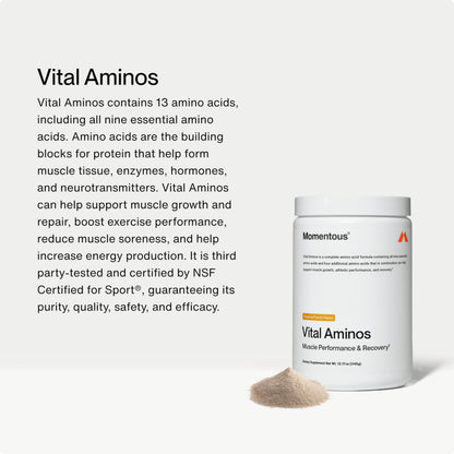 Momentous Vital Aminos Powder – 13 Amino Acids (EAAs + extras) | BCAA & EAA | Tropical Punch | NSF Certified for Sport | GMO & Gluten-Free | 30 Servings