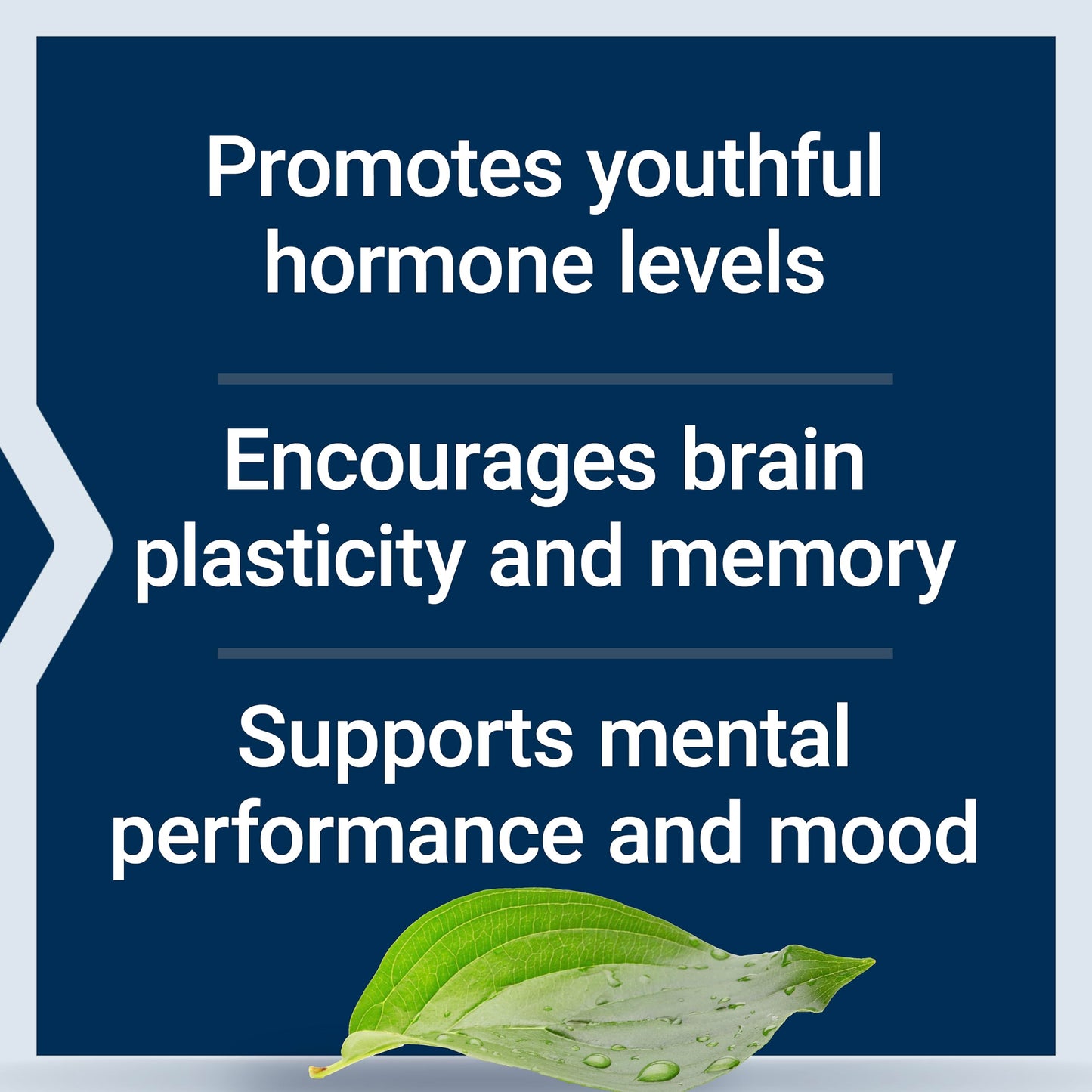 Life Extension Pregnenolone 100 mg - Hormone Balance & Cognitive Health