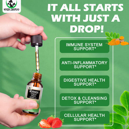 Moringa Drops – Organic Moringa Leaf Extract with Turmeric, Ginger & Boswellia
