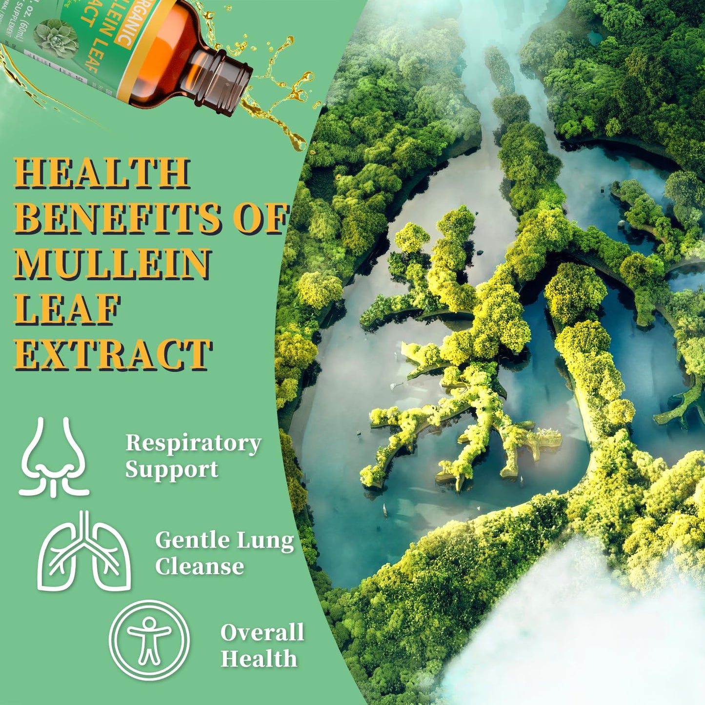 Mosslly 1700mg Mullein Drops – Organic Mullein Leaf for Lungs (2 fl oz)