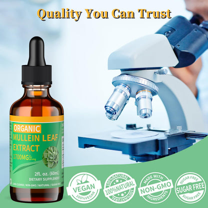 Mosslly 1700mg Mullein Drops for Lungs – Organic Mullein Leaf Extract, 2 Oz