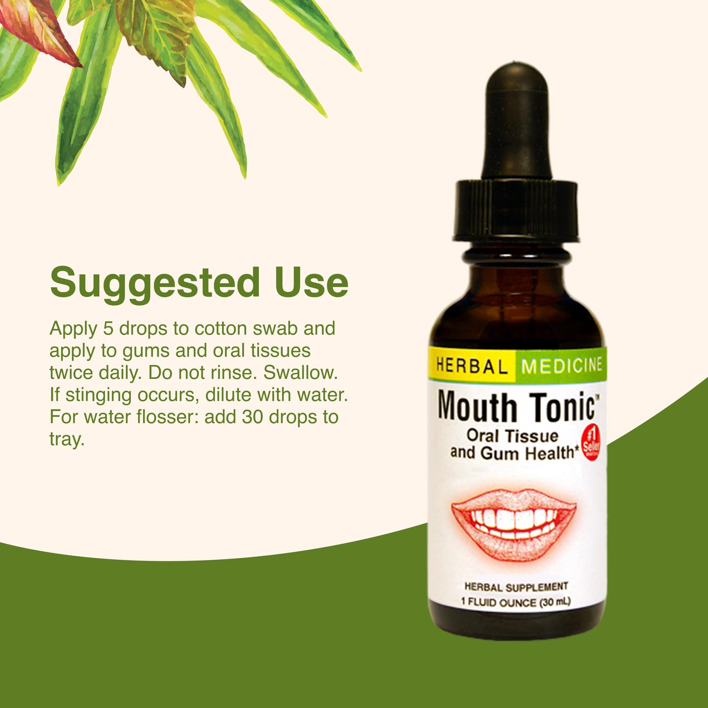 Mouth Tonic™ 1 oz | Herbal Gum Health & Oral Care