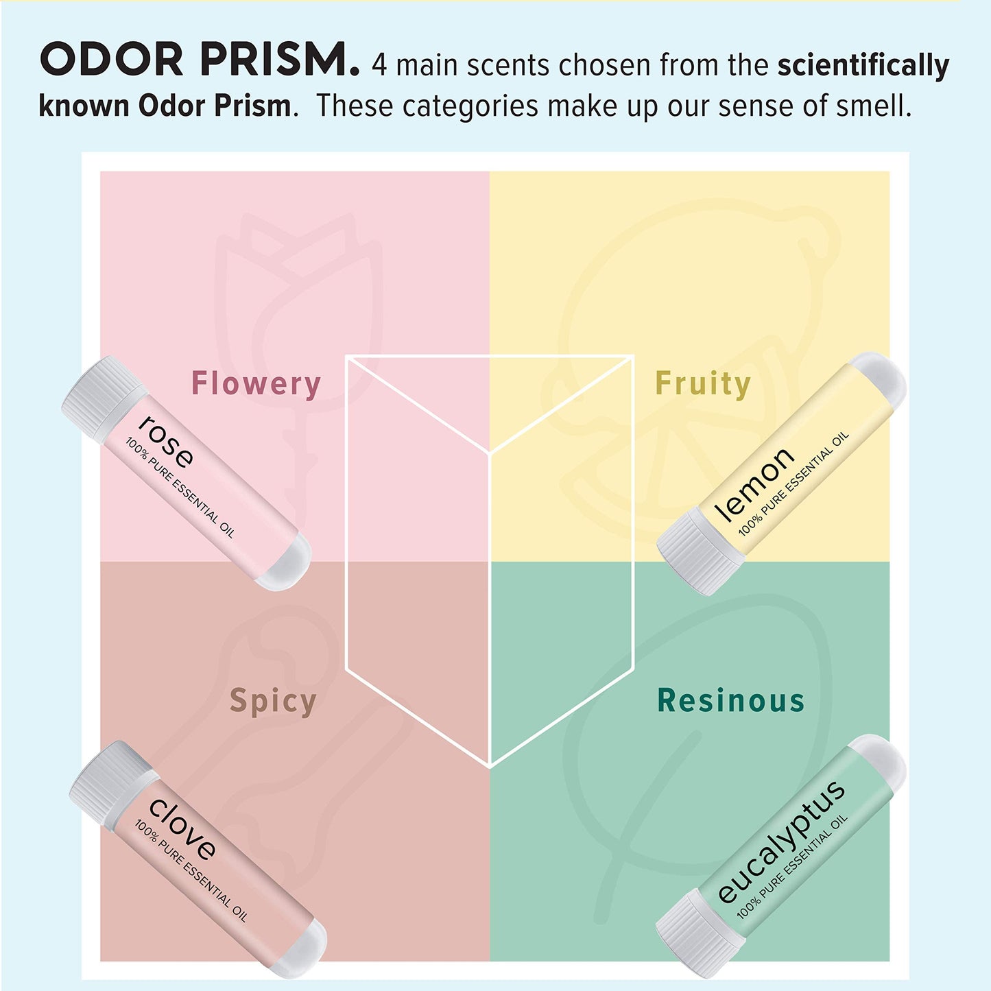 MOXĒ Smell Training Kit | Made in USA | 4 Essential Oils (Phase 1)