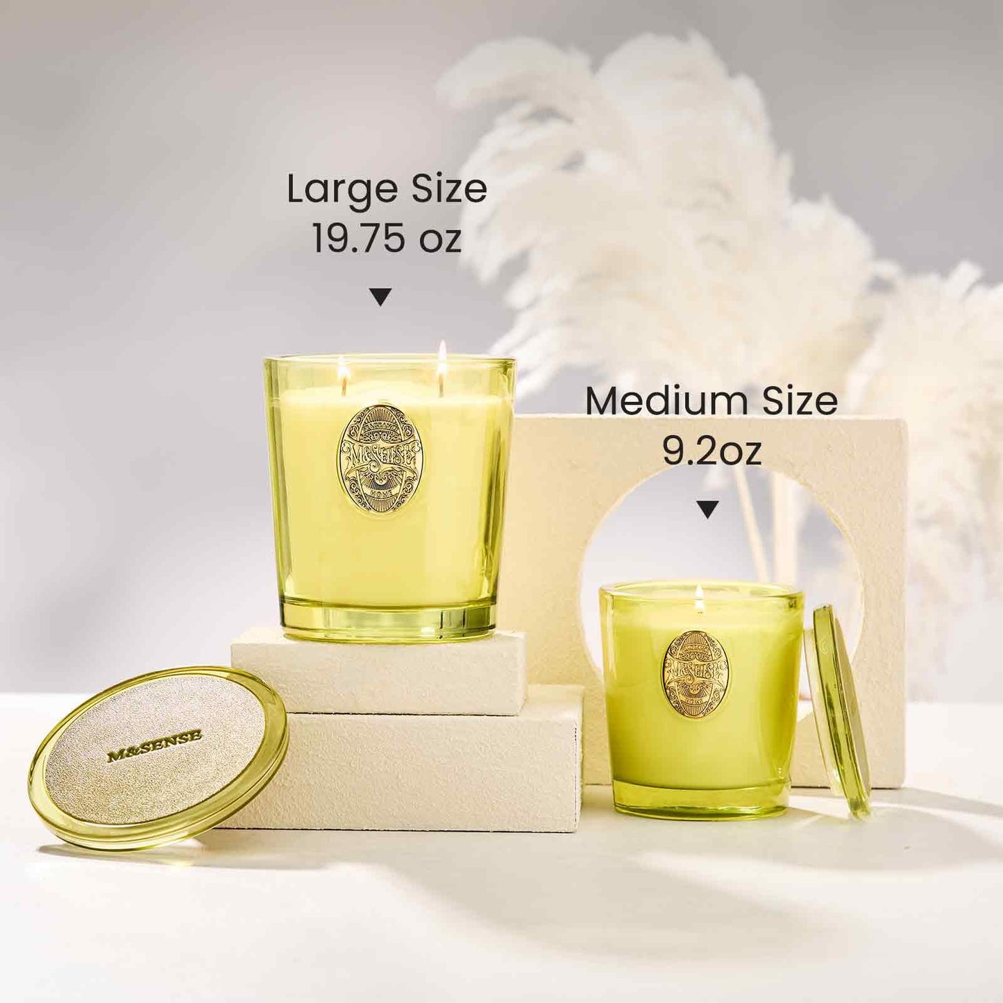 M&SENSE Natural Soy Candle – Seattle Rainforest & Matcha Green | 9.2 oz