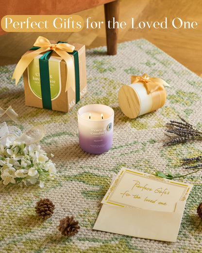 M&SENSE Mandarin Vanilla Candle – 80-Hour Non-Toxic Soy Wax Aromatherapy