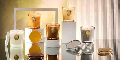 M&SENSE Natural Soy Candle – Vanilla Dream & White | 9.2 oz, 50H Burn