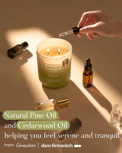 M&SENSE Pine Cedarwood Holiday Candle – 14.1oz, 80 Hours, Non-Toxic Soy Wax
