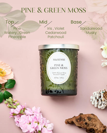 M&SENSE Pine & Moss Scented Candle – Natural Soy Wax, 18oz, 100 Hours