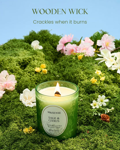 M&SENSE Sage Citrus Scented Candle | 18oz Soy Wax, Wooden Wick, 100 Hours