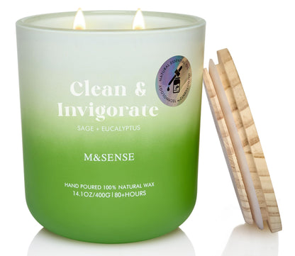 M&SENSE Sage Eucalyptus Scented Candle – 14.1oz, 80-Hour Non-Toxic Soy Wax, 2-Wick Aromatherapy