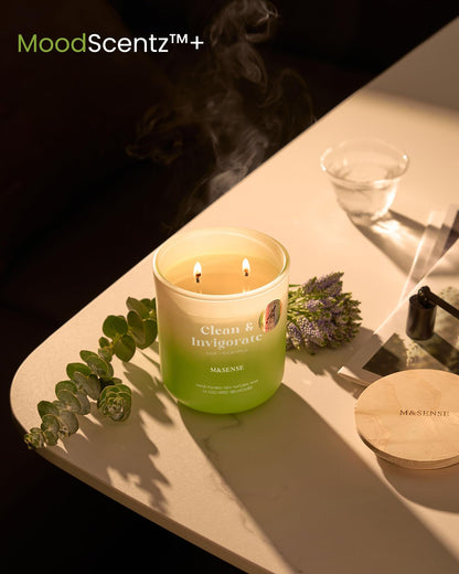 M&SENSE Sage Eucalyptus Scented Candle – 14.1oz, 80-Hour Non-Toxic Soy Wax, 2-Wick Aromatherapy