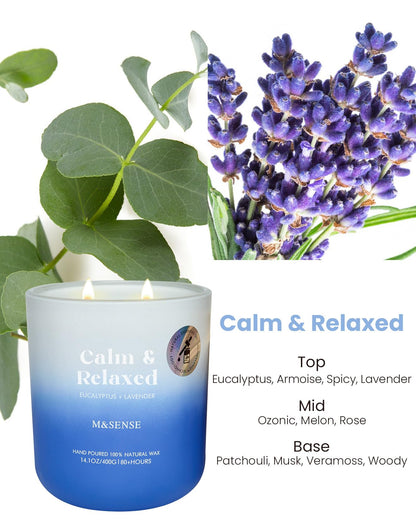 M&SENSE Eucalyptus Lavender Scented Candle – 14.1oz, 80-Hour Burn Time, MoodScentz Certified, Non-Toxic Soy Wax, Aromatherapy