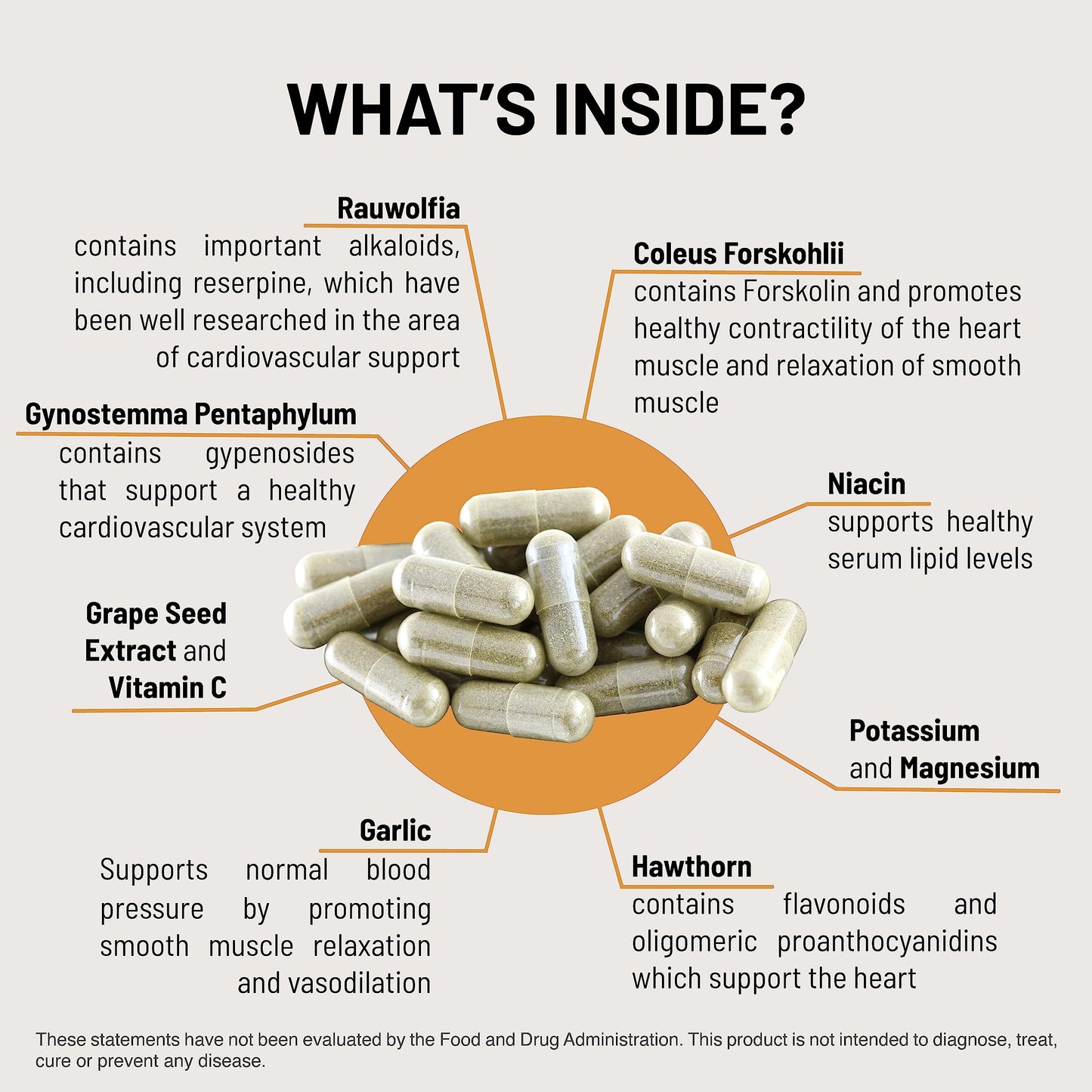 HTN Blood Pressure Support - Mountain Peak Nutritionals (90 Veg Caps) Rauwolfia, Hawthorn & Magnesium