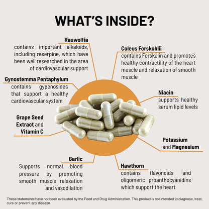 HTN Blood Pressure Support - Mountain Peak Nutritionals (90 Veg Caps) Rauwolfia, Hawthorn & Magnesium