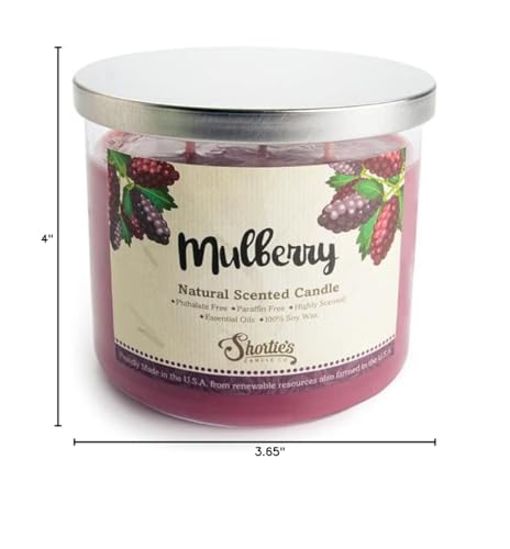 Mulberry Natural 3 Wick Candle – 14.5 oz – 100% Soy, Phthalate Free, Clean Burning
