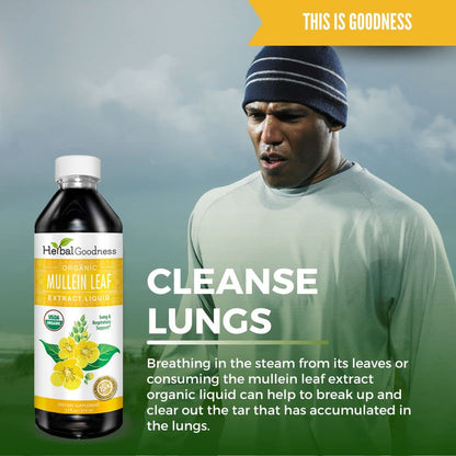 Herbal Goodness Mullein Drops for Lungs – Organic 15X Mullein Extract, Alcohol-Free