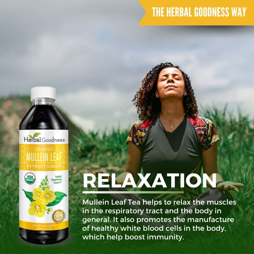 Herbal Goodness Mullein Drops for Lungs – Organic 15X Mullein Extract, Alcohol-Free