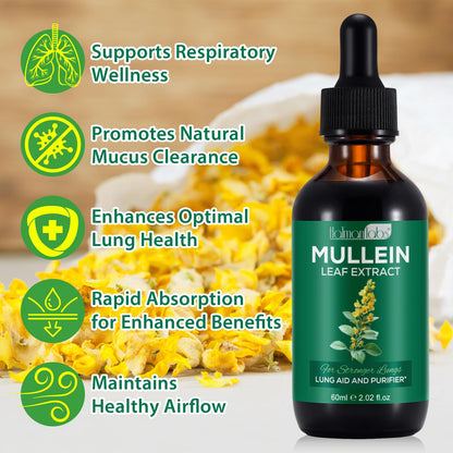 Mullein Drops for Lungs – Natural Mullein Leaf Extract & Lung Health | 2.02 fl oz