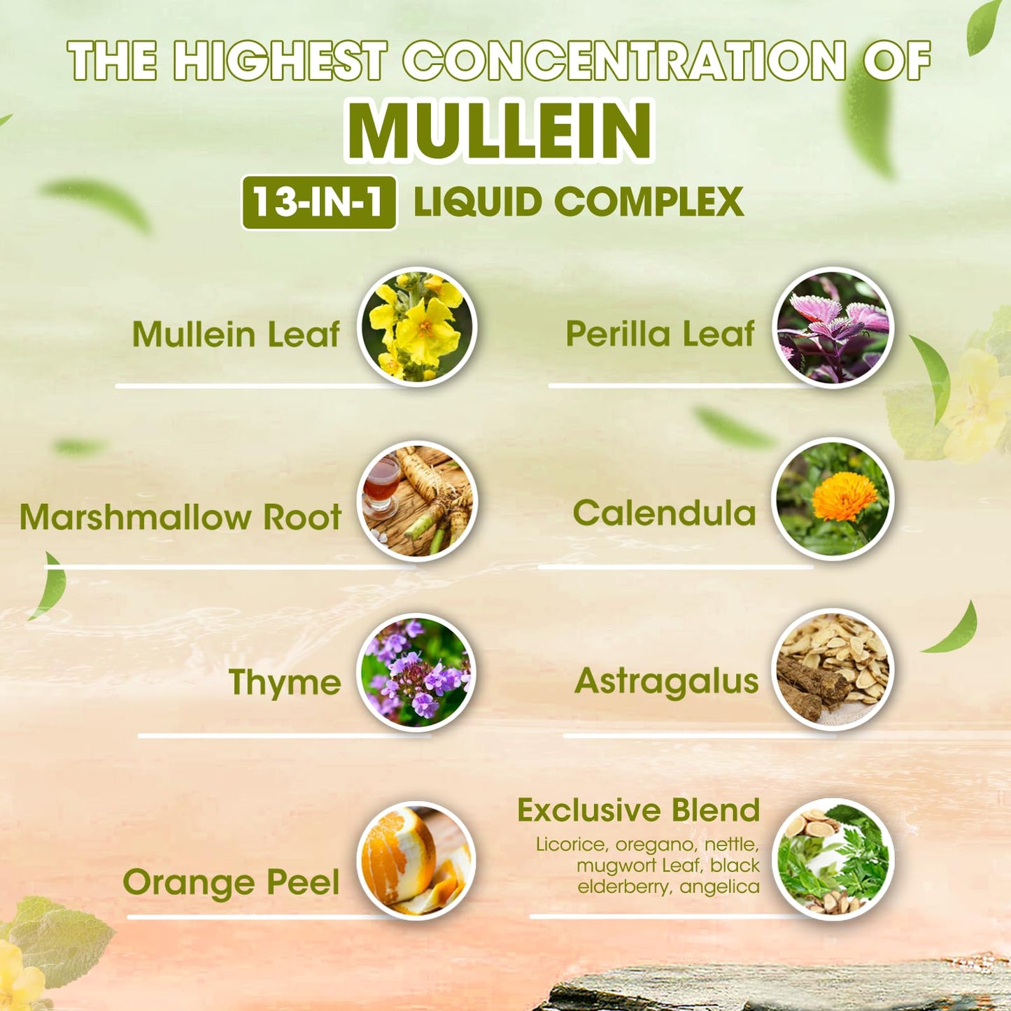 Mullein Drops for Lungs – Herbal Respiratory Support with Mullein, Marshmallow, Perilla & Astragalus, 2 fl oz | Vegan