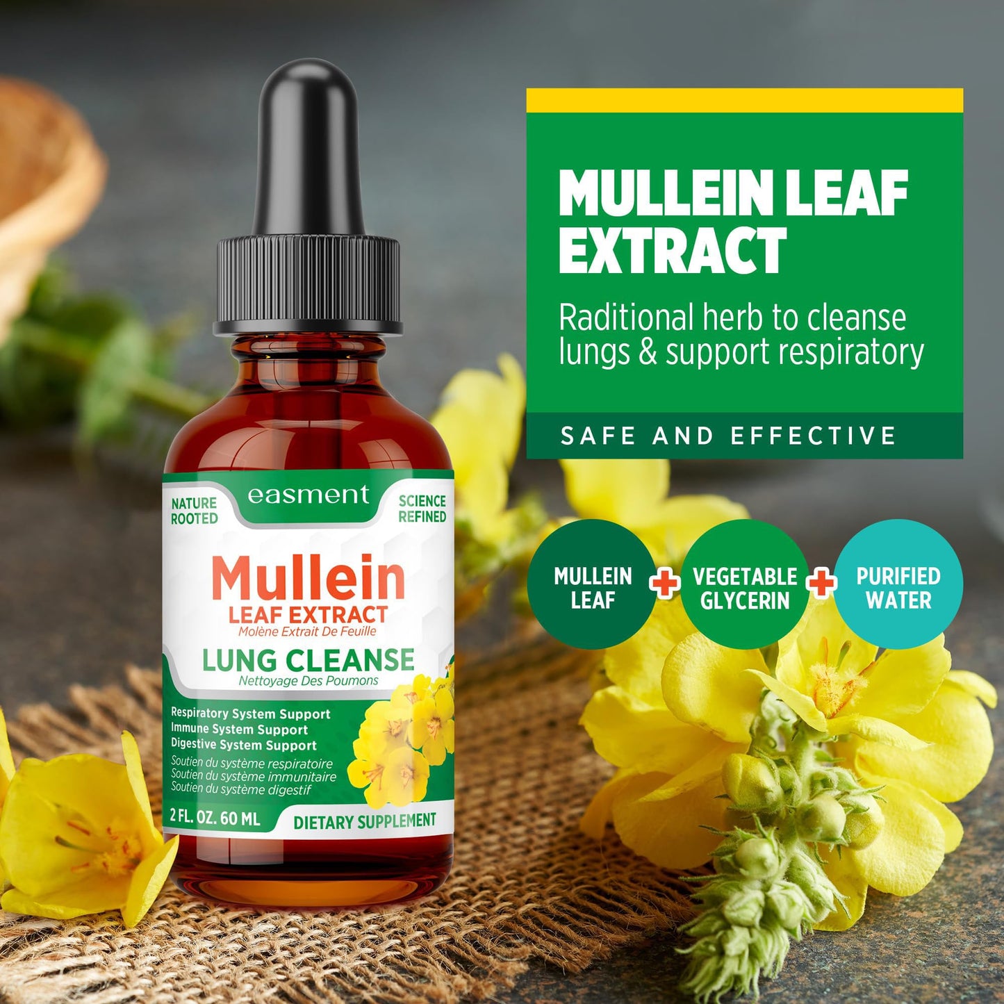 Mullein Drops for Lungs Cleanse – 2 Pack Lung Support Tincture with Mullein Leaf Extract