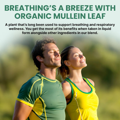 PrimeMD 5-in-1 Mullein Drops for Lungs – Respiratory Support (4-Pack, 120 Servings)