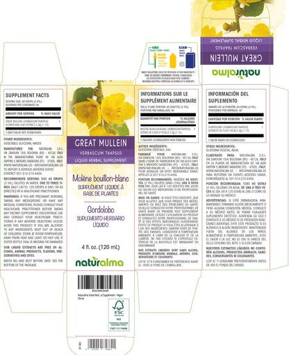 Naturalma Great Mullein Tincture (Verbascum thapsus) – Alcohol-Free, 4 fl oz, Vegan, Made in Italy