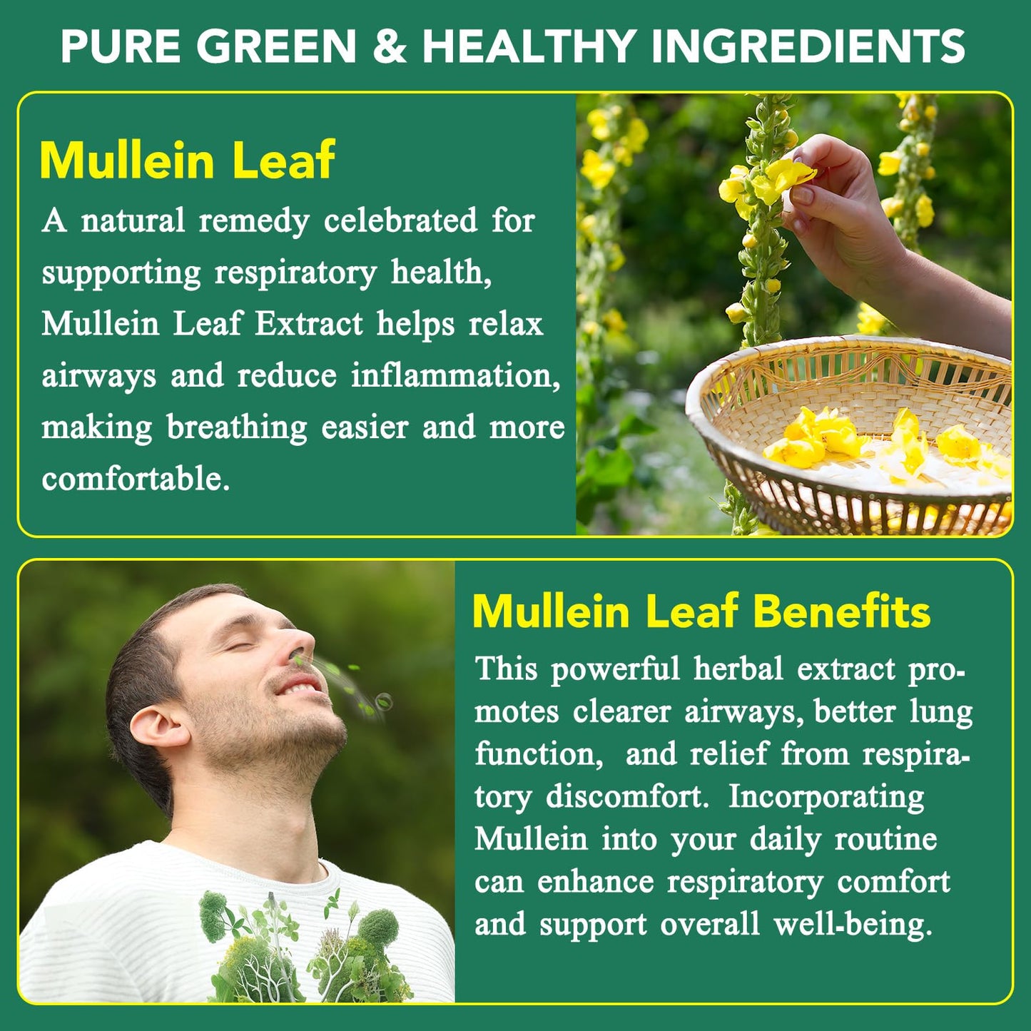Mullein Gummies for Lungs | 2000mg Mullein Leaf Extract | Lung Support & Immune Health | 60 pcs