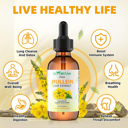 Mullein Leaf Extract Drops for Lungs – High Strength 1200mg Alcohol-Free Liquid Mullein | Lung Cleanse & Immune Support | Vegan & Non-GMO (60-Day Supply)