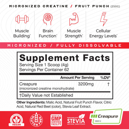 Muscle Feast Creapure Micronized Creatine Monohydrate Powder – Fruit Punch, 250g | Easy Mix, Gluten-Free, Pure German Creatine
