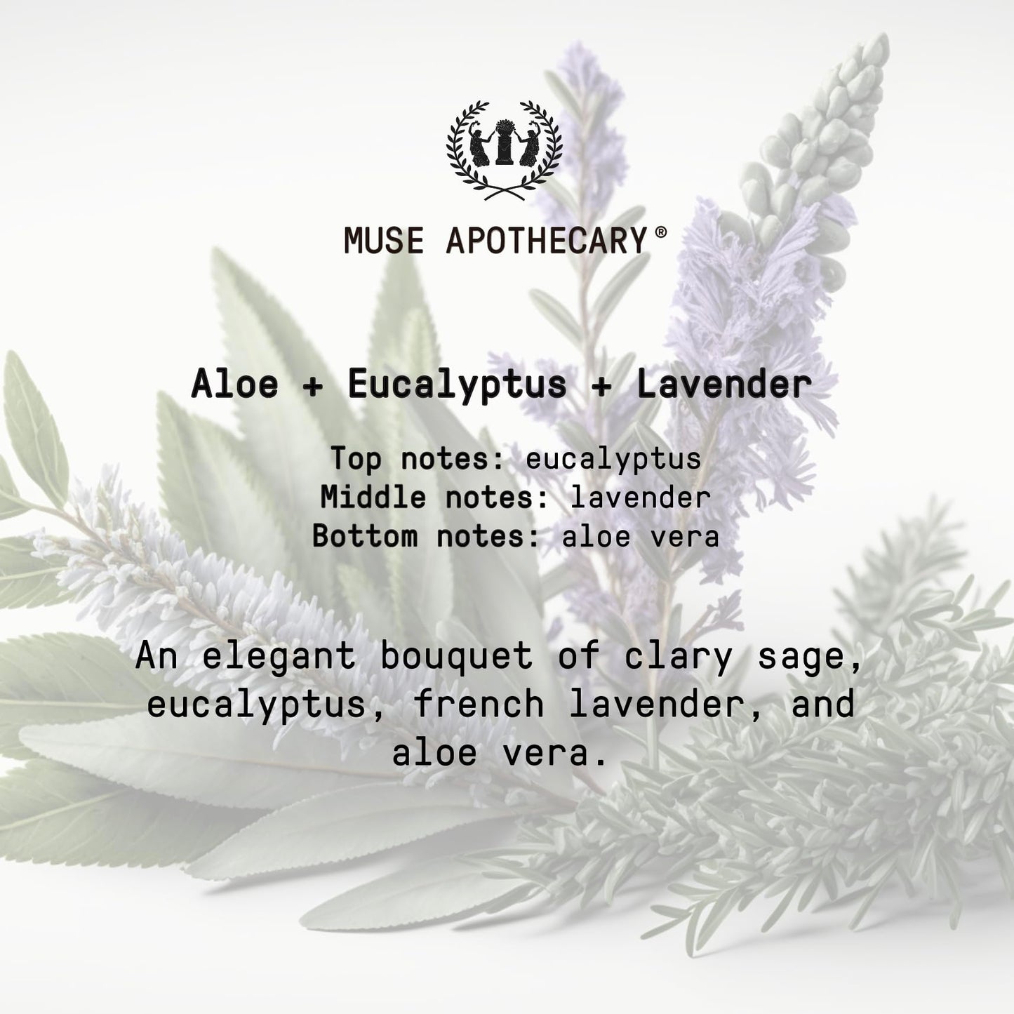 Muse Apothecary Room Ritual - Aromatic Room Mist 4 oz (Aloe + Eucalyptus + Lavender) - 2 Pack