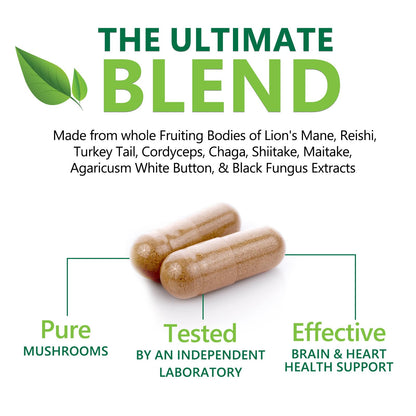 Mushroom Brain Supplement 1330 mg – 10 in 1 High Strength Complex (60 Capsules) | Lions Mane, Reishi, Cordyceps