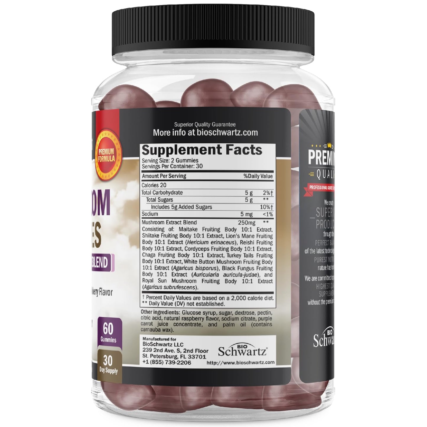 Mushroom Gummies for Adults – 10-in-1 Mood & Focus (60 Count) – Lions Mane & Turkey Tail